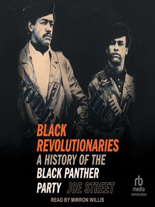 Cover image for Black Revolutionaries
